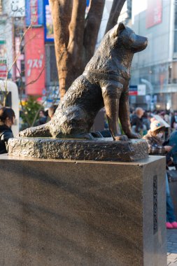 Hachiko Memorial Statue in Shibuya, Tokyo. It is bronze statue honoring Hachiko, the famously loyal Akita dog. clipart