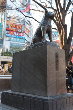 Hachiko Memorial Statue in Shibuya, Tokyo. It is bronze statue honoring Hachiko, the famously loyal Akita dog. clipart