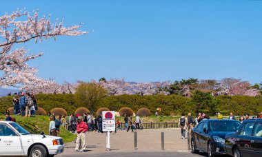 Goryokaku yıldız kalesi parkı ilkbaharda kiraz çiçekleri tam çiçek mevsimi açık mavi gökyüzü güneşli bir gün, ziyaretçiler Hakodate şehri Hokkaido, Japonya 'da güzel sakura çiçeklerinin tadını çıkarıyorlar - 29 Nisan 2019