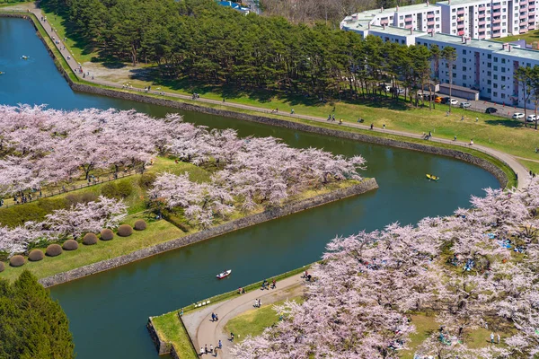 Goryokaku park v jarním období třešňových květů (duben, květen), letecká vyhlídková pevnost ve tvaru hvězdy za slunečného dne. Návštěvníci vychutnat krásné plné květ sakura květiny ve městě Hakodate, Hokkaido, Japonsko — Stock fotografie