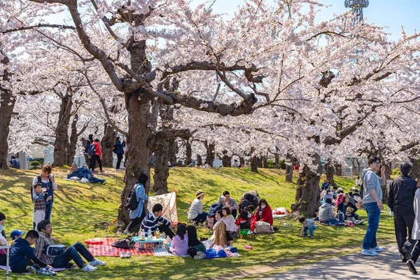 Goryokaku yıldız kalesi parkı ilkbaharda kiraz çiçekleri tam çiçek mevsimi açık mavi gökyüzü güneşli bir gün, ziyaretçiler Hakodate şehri Hokkaido, Japonya 'da güzel sakura çiçeklerinin tadını çıkarıyorlar - 29 Nisan 2019