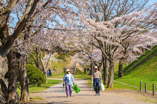 Goryokaku star fort park in springtime cherry blossom full bloom season with clear blue sky sunny day, visitors enjoy the beautiful sakura flowers in Hakodate city, Hokkaido, Japan - April 29 2019 — Stock Photo, Image