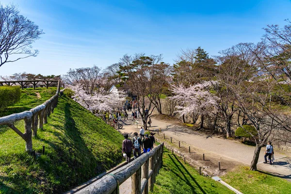 Goryokaku hvězda Fort Park v jarní třešňové květu plné období květu s jasnou modrou oblohou slunečný den, návštěvníci vychutnat krásné sakura květiny ve městě Hakodate, Hokkaido, Japonsko - Duben 29 2019 — Stock fotografie