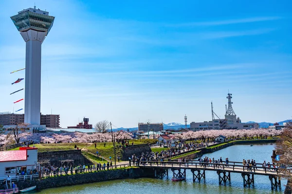 Hokkaido, Japan - 29 april 2019: Goryokaku Park Tower i vårens körsbärsblomma full blomningstid solig dag med klarblå himmel, den vackra stjärnformade fästningen i Hakodate City — Stockfoto