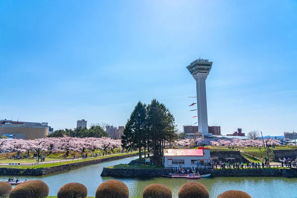 Hokkaido, Japan - 29 april 2019: Goryokaku Park Tower i vårens körsbärsblomma full blomningstid solig dag med klarblå himmel, den vackra stjärnformade fästningen i Hakodate City — Stockfoto