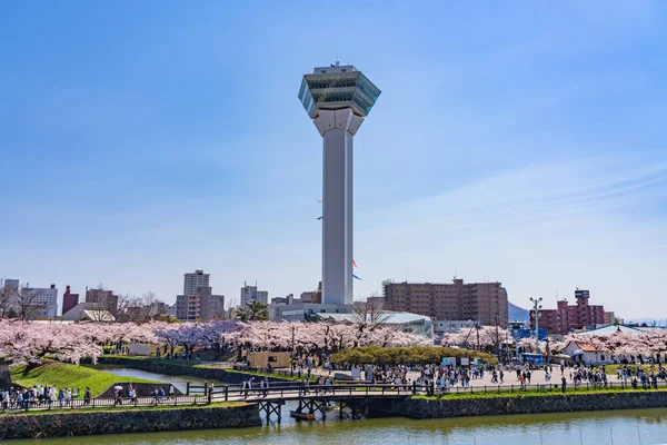 Hokkaido, Japan - 29 april 2019: Goryokaku Park Tower i vårens körsbärsblomma full blomningstid solig dag med klarblå himmel, den vackra stjärnformade fästningen i Hakodate City — Stockfoto