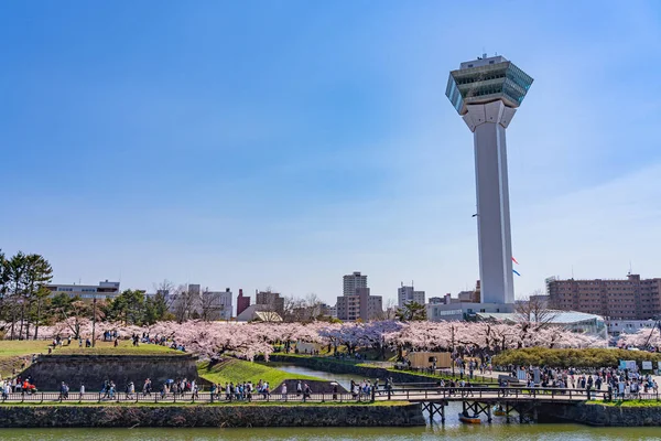 Hokkaido, Japan - 29 april 2019: Goryokaku Park Tower i vårens körsbärsblomma full blomningstid solig dag med klarblå himmel, den vackra stjärnformade fästningen i Hakodate City — Stockfoto