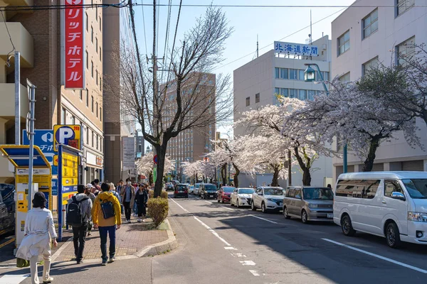Hokkaido, japan - 29. april 2019: hakodate stadtbild im frühling sonnigen tag kirschblüte volle blütezeit. Der Straßenrand ist voller Kirschbäume, die Leute genießen es sehr — Stockfoto