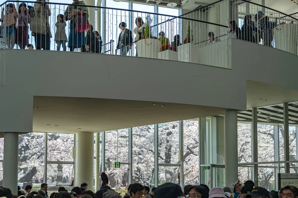 Hokkaido, Japonya - 29 Nisan 2019: Goryokaku Kulesinin iç lobisi. İnsanlar ilkbaharda buraya çiçek açan kiraz çiçeklerinin tadını çıkarmaya gelirler. Ziyaretçiler gözlem güvertesine asansör bekliyor.