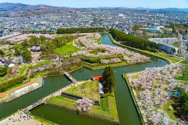 Goryokaku park under våren körsbärsblomma säsong (april, maj), antenn utsikt stjärnformade fort i solig dag. besökare njuta av den vackra full blom sakura blommor i Hakodate stad, Hokkaido, Japan — Stockfoto