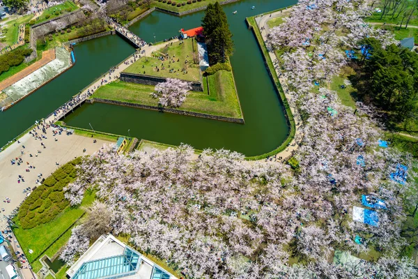 春の桜の季節(4月、 5月)には五稜郭公園があり、晴れた日には空中展望台が形成されます。北海道函館市で美しい満開の桜を楽しむ — ストック写真