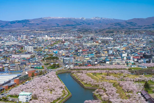 Goryokaku park under våren körsbärsblomma säsong (april, maj), flygfoto i solig dag. besökare njuta av den vackra fulla blomman sakura blommor i Hakodate stad, Hokkaido, Japan - April 29 2019 — Stockfoto