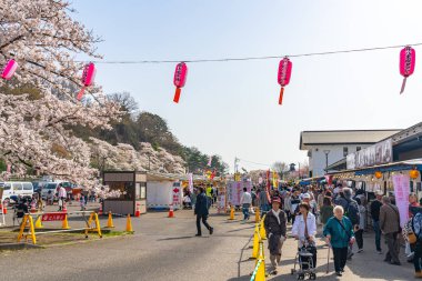 Kitakami, Iwate Bölgesi, Japonya - 23 Nisan 2019: Bahar sabahı Kitakami Nehri kıyısındaki Tenshochi Parkı. Kır manzarası güzelliği ile çiçek açan pembe sakura çiçekleri