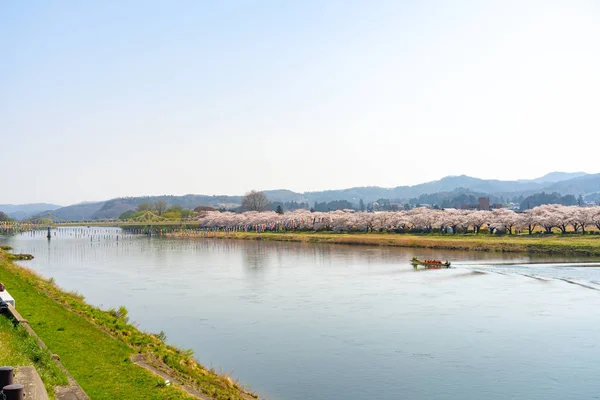 Kitakami Prefektura Iwate Japonsko Dubna 2019 Tenshochi Park Podél Řeky — Stock fotografie