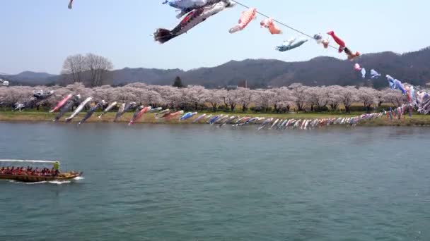 Kitakami Iwate Präfektur Japan April 2019 Tenshochi Park Entlang Des — Stockvideo