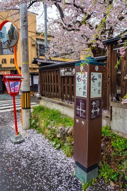 Bahar mevsiminde kiraz çiçeği açan Kakunodate 'nin sokak manzarası güneşli bir sabah. Kakunodate Bukeyashiki (samuray evleri) tarafından meşhurdur. Semboku Bölgesi, Akita Bölgesi, Japonya. 28 Nisan 2019