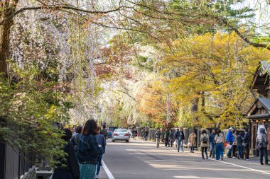 Kakunodate, Akita, Japonya - 28 Nisan 2019: Bukeyashiki Caddesi (samuray evleri) ilkbahar kiraz çiçekleri mevsiminde güneşli bir günde. Geleneksel Japon manzarası, güzel çiçek açan pembe sakura ağacı çiçekleri.