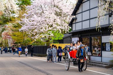 Kakunodate, Akita, Japonya - 28 Nisan 2019: Bukeyashiki Caddesi (samuray evleri) ilkbahar kiraz çiçekleri mevsiminde güneşli bir günde. Geleneksel Japon manzarası, güzel çiçek açan pembe sakura ağacı çiçekleri.