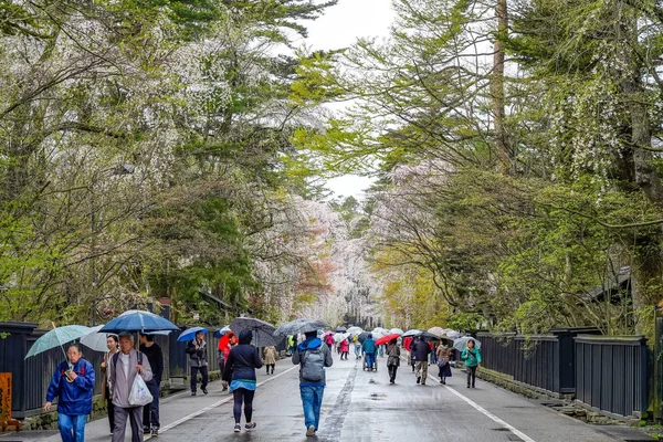 Kakunodate, Akita, Giappone - 26 aprile 2019: Bukeyashiki Street (residenze samurai) nella stagione primaverile dei fiori di ciliegio. Giapponese scena tradizionale, bellezza piena fioritura rosa sakura albero fiori — Foto Stock