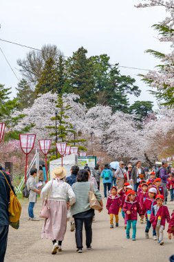 İlkbahar mevsimi güneşli sabahında Hirosaki Park kiraz çiçekleri Matsuri festivali. Ziyaretçiler güzel pembe sakura çiçeklerinin tadını çıkarırlar. Aomori Bölgesi, Tohoku Bölgesi, Japonya - 24 Nisan 2019