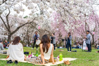 İlkbahar mevsimi güneşli sabahında Hirosaki Park kiraz çiçekleri Matsuri festivali. Ziyaretçiler güzel pembe sakura çiçeklerinin tadını çıkarırlar. Aomori Bölgesi, Tohoku Bölgesi, Japonya - 24 Nisan 2019