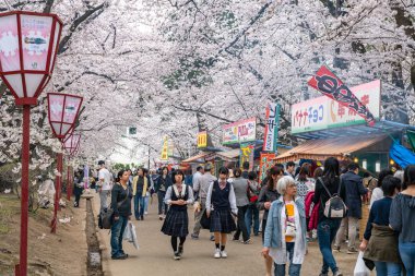 İlkbaharda Hirosaki Park kiraz çiçekleri açar. Festival sırasında burada birçok sokak satıcısı var. Ziyaretçiler güzelliğin tadını çıkarırlar. Çiçekler, yiyecekler ve içecekler. Aomori Bölgesi, Japonya - 24 Nisan 2019