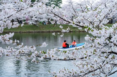 İlkbahar mevsiminde Hirosaki Park kiraz çiçekleri matsuri festivali güzel bir sabah günü. Güzel çiçek açan pembe sakura çiçekleri batı hendeğinde. Aomori Bölgesi, Tohoku Bölgesi, Japonya - 24 Nisan 2019