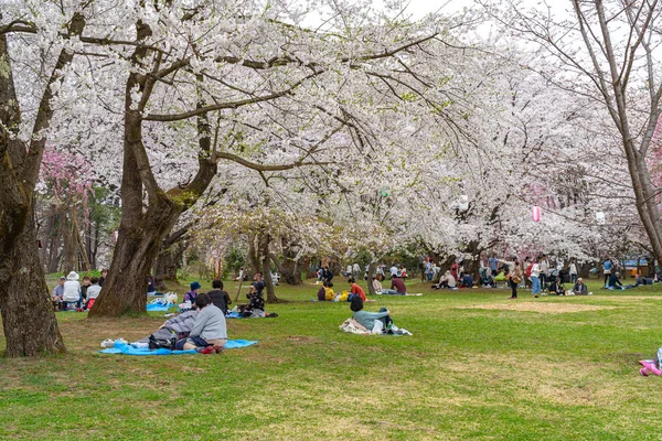 Hirosaki Park Kirschblüten matsuri Festival im Frühling Jahreszeit sonnigen Tag Morgen. Besucher genießen Schönheit in voller Blüte rosa Sakura-Blüten. aomori präfektur, tohoku region, japan - 24. april 2019 — Stockfoto