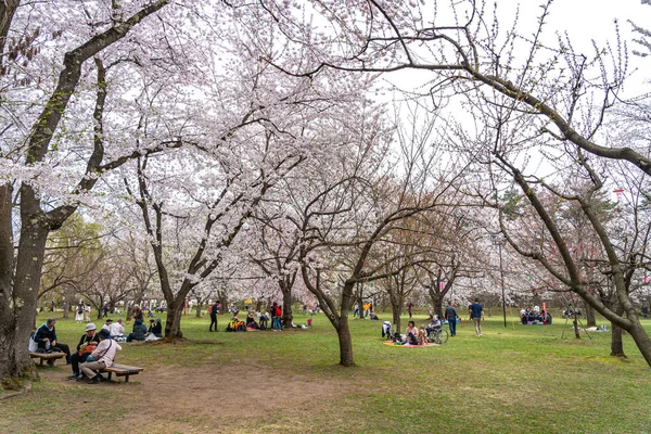 Hirosaki Park Kirschblüten matsuri Festival im Frühling Jahreszeit sonnigen Tag Morgen. Besucher genießen Schönheit in voller Blüte rosa Sakura-Blüten. aomori präfektur, tohoku region, japan - 24. april 2019 — Stockfoto