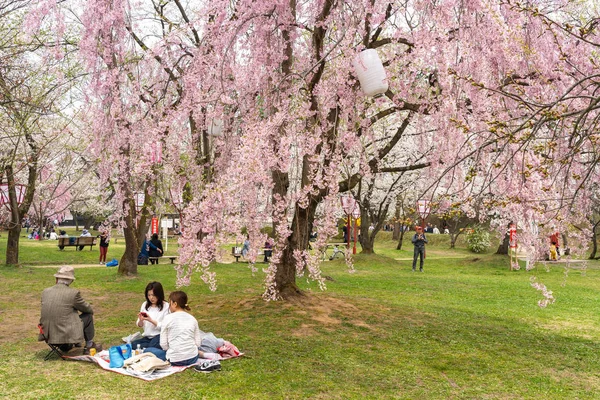 Hirosaki Park Kirschblüten matsuri Festival im Frühling Jahreszeit sonnigen Tag Morgen. Besucher genießen Schönheit in voller Blüte rosa Sakura-Blüten. aomori präfektur, tohoku region, japan - 24. april 2019 — Stockfoto