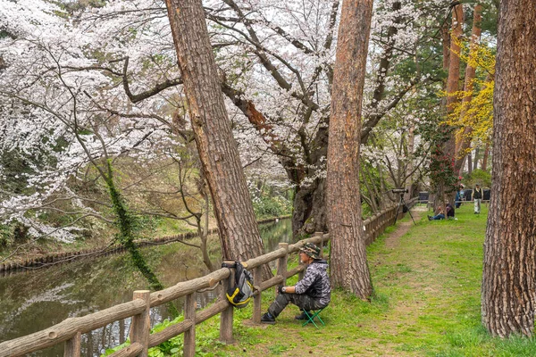 Hirosaki Park cherry blossoms in springtime season sunny day morning. Beauty full bloom pink sakura flowers at inner moat. Aomori Prefecture, Tohoku Region, Japan - April 24, 2019 — 스톡 사진