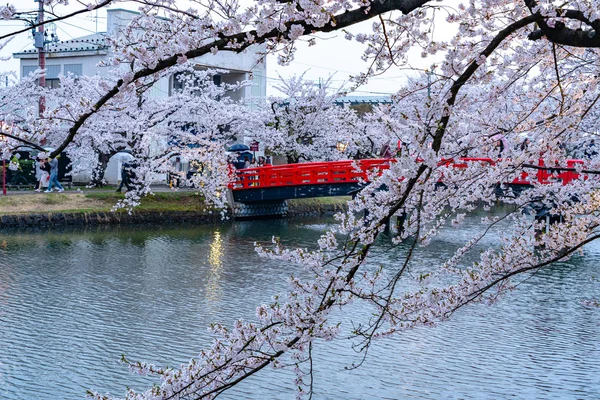 Γιορτή ανθίσεων κερασιάς στο πάρκο Χιροσάκι την άνοιξη. Ομορφιά ανθισμένα ροζ λουλούδια σακούρα στη γέφυρα Shunyo-bashi στη δυτική τάφρο. Aomori Prefecture, Tohoku Region, Ιαπωνία - 24 Απριλίου 2019 — Φωτογραφία Αρχείου