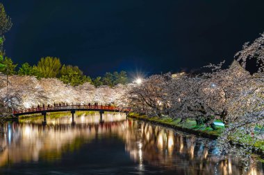 Hirosaki Park kiraz çiçeği matsuri festivali gece aydınlanıyor. Batı hendeği Shunyo-bashi Köprüsü 'nde güzel çiçekler açıyor ve ışıklar yanıyor. Aomori Bölgesi, Tohoku Bölgesi, Japonya
