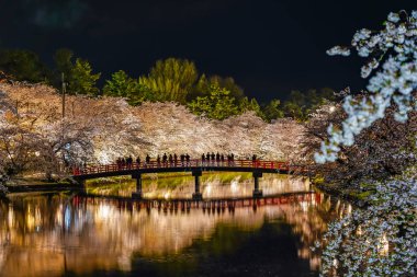 Hirosaki Park kiraz çiçeği matsuri festivali gece aydınlanıyor. Batı hendeği Shunyo-bashi Köprüsü 'nde güzel çiçekler açıyor ve ışıklar yanıyor. Aomori Bölgesi, Tohoku Bölgesi, Japonya