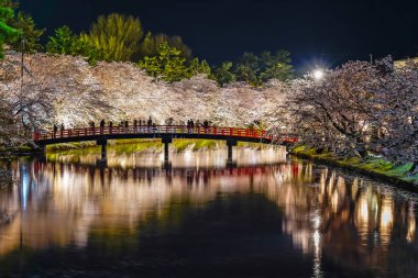 Hirosaki Park kiraz çiçeği matsuri festivali gece aydınlanıyor. Batı hendeği Shunyo-bashi Köprüsü 'nde güzel çiçekler açıyor ve ışıklar yanıyor. Aomori Bölgesi, Tohoku Bölgesi, Japonya