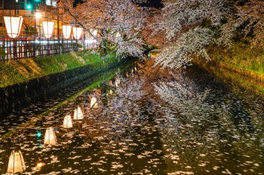 Hirosaki Park kiraz çiçeği matsuri festivali bahar mevsiminde ışıldar. Dış hendekte çiçek açan güzel pembe sakura çiçekleri ve ışıklar aydınlatıyor. Aomori Bölgesi, Japonya - 26 Nisan 2019