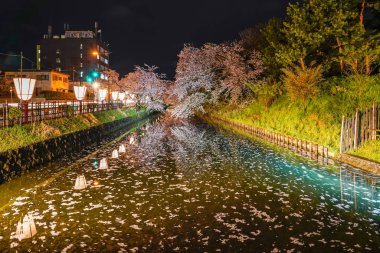Hirosaki Park kiraz çiçeği matsuri festivali bahar mevsiminde ışıldar. Dış hendekte çiçek açan güzel pembe sakura çiçekleri ve ışıklar aydınlatıyor. Aomori Bölgesi, Japonya - 26 Nisan 2019