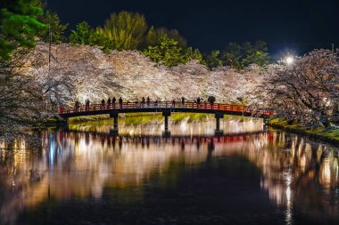 Hirosaki Park kiraz çiçeği matsuri festivali gece aydınlanıyor. Batı hendeği Shunyo-bashi Köprüsü 'nde güzel çiçekler açıyor ve ışıklar yanıyor. Aomori Bölgesi, Tohoku Bölgesi, Japonya