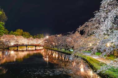 Hirosaki Park kiraz çiçeği matsuri festivali gece aydınlanıyor. Batı hendeği Shunyo-bashi Köprüsü 'nde güzel çiçekler açıyor ve ışıklar yanıyor. Aomori Bölgesi, Tohoku Bölgesi, Japonya