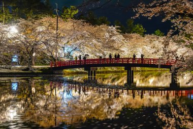 Hirosaki Park kiraz çiçeği matsuri festivali gece aydınlanıyor. Batı hendeği Shunyo-bashi Köprüsü 'nde güzel çiçekler açıyor ve ışıklar yanıyor. Aomori Bölgesi, Tohoku Bölgesi, Japonya