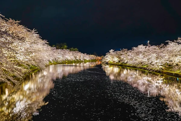 博萨基公园樱花树松节晚会在春天的夜晚点亮 美丽的盛开的粉红色樱花在西方护城河中闪烁着光芒 日本东北地区青森县 — 图库照片