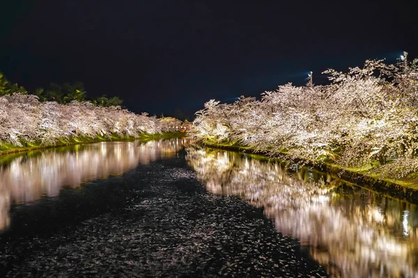 Hirosaki Parque Cerezo Flor Árboles Matsuri Festival Luz Por Noche —  Fotos de Stock