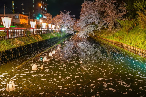 Hirosaki Parco Ciliegio Fiore Matsuri Festival Accendono Primavera Notte Stagione — Foto Stock
