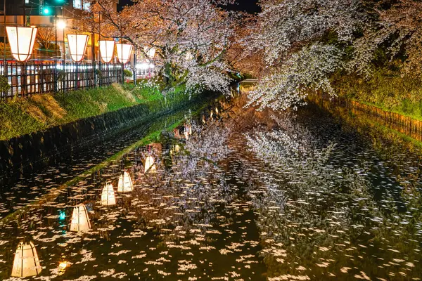 Hirosaki Park kiraz çiçeği matsuri festivali bahar mevsiminde ışıldar. Dış hendekte çiçek açan güzel pembe sakura çiçekleri ve ışıklar aydınlatıyor. Aomori Bölgesi, Japonya - 26 Nisan 2019