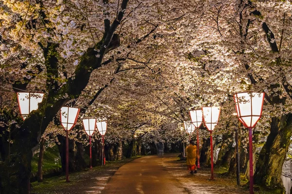 Parco Hirosaki Alberi Ciliegio Matsuri Festival Accendono Notte Primavera Bellezza — Foto Stock