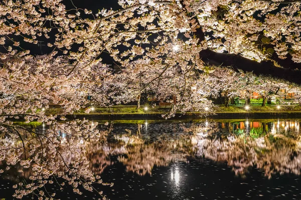 Hirosaki Park kiraz ağaçları matsuri festivali baharda gece ışıldar. Güzellik tam pembe sakura çiçekleri batıdaki hendekte ışık saçıyor. Aomori Bölgesi, Tohoku Bölgesi, Japonya
