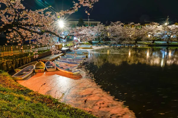 Prefettura Aomori Regione Tohoku Giappone Aprile 2019 Hirosaki Park Cherry — Foto Stock