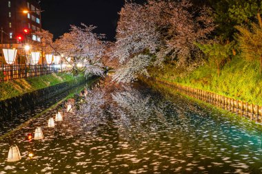 Hirosaki Park kiraz çiçeği matsuri festivali bahar mevsiminde ışıldar. Dış hendekte çiçek açan güzel pembe sakura çiçekleri ve ışıklar aydınlatıyor. Aomori Bölgesi, Japonya - 26 Nisan 2019
