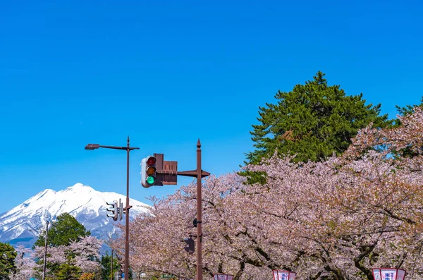 春の晴れた日に弘前市の街の景色。桜祭りは、訪問者が満開のピンクの桜の花の美しさを楽しむ。青森県東北地方 — ストック写真