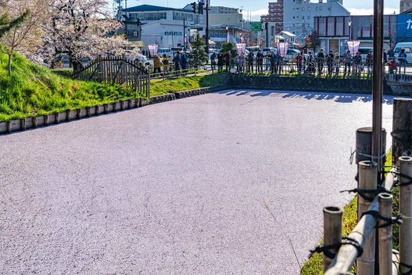 日本青森县- 2019年4月28日：春天里晴空万里，盛开的粉色花朵开始飘落，花田花瓣在外面的护城河上飘扬 — 图库照片